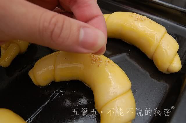 2010小黑生日禮物