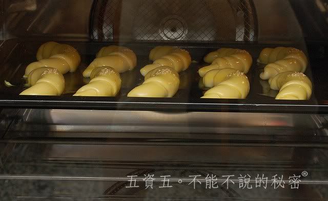2010小黑生日禮物