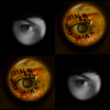 http://i237.photobucket.com/albums/ff258/FictionIcons/Icons%20Fur/f3_fiction_icons.png