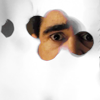 http://i237.photobucket.com/albums/ff258/FictionIcons/Icons%20In%20Bruges/ib2_fiction_icons.png