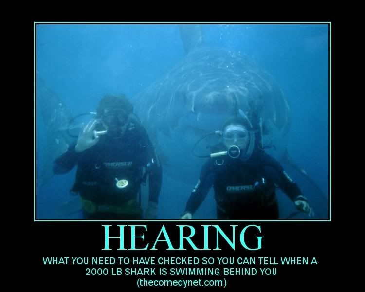 Noah Shark