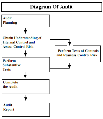 Basic Diagram of Audit