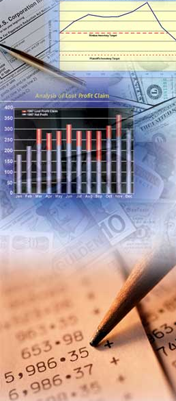 financial statement analysis and tools