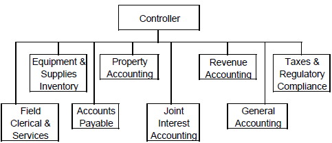Organization Structure of the Accounting Function