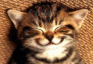 Smile Pictures, Images and Photos