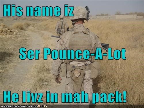 sirpounce_zps84847e30.jpg