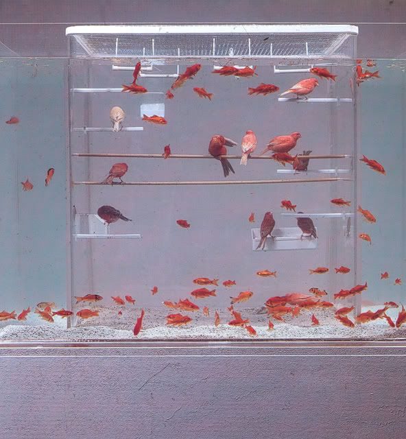 bird tank aquarium fish tank
