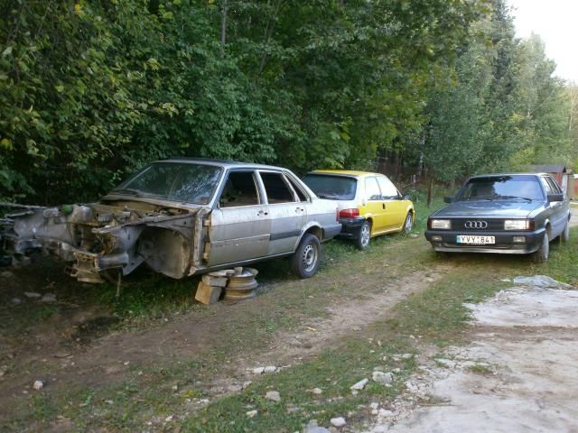 Paveikslėlis