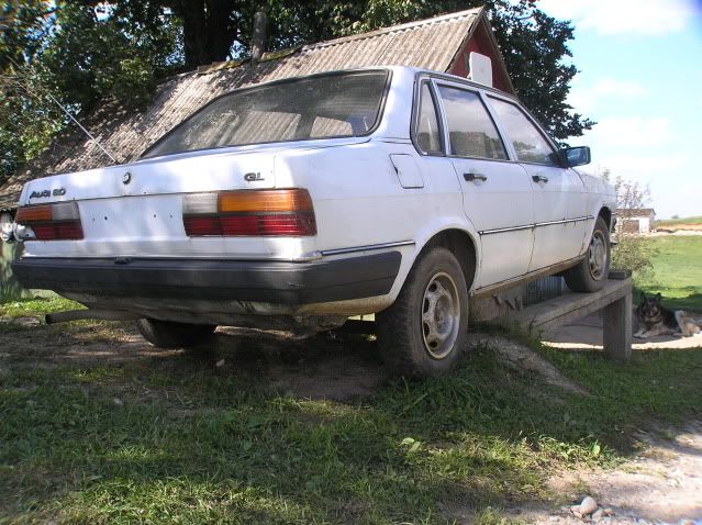 Paveikslėlis
