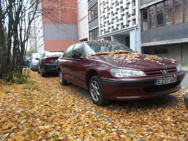 Paveikslėlis