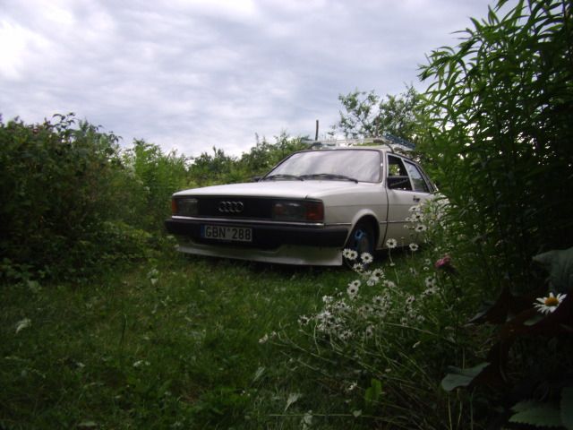 Paveikslėlis