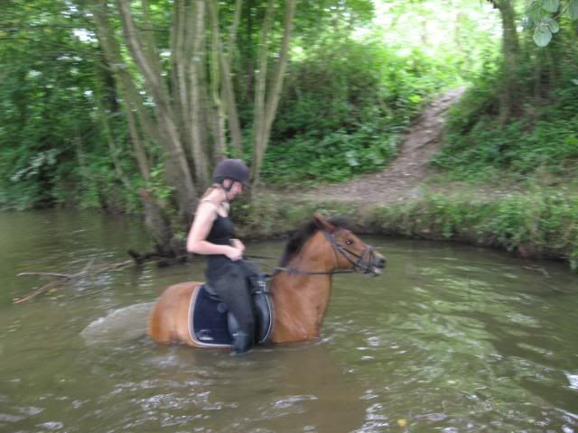Bild