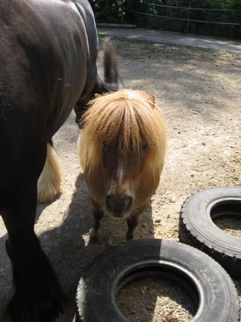 Bild