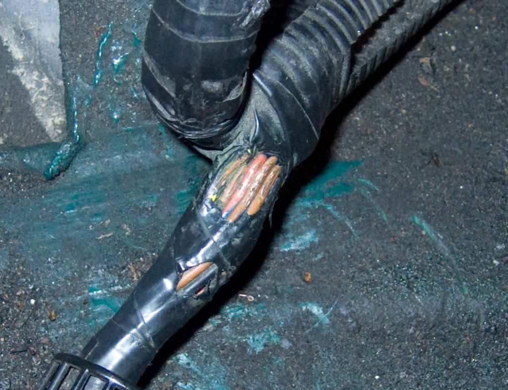 Throttle Body Wiring Harness Issues? These Mistakes Can Wreck Your Engine - bvl4qbd