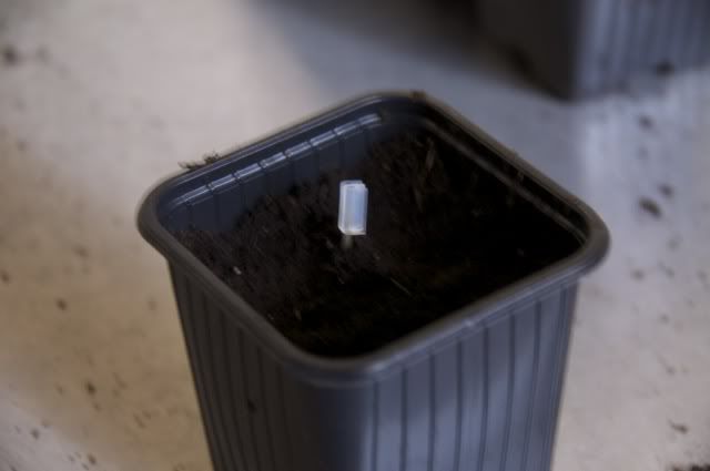 file_zps85030c66.jpg