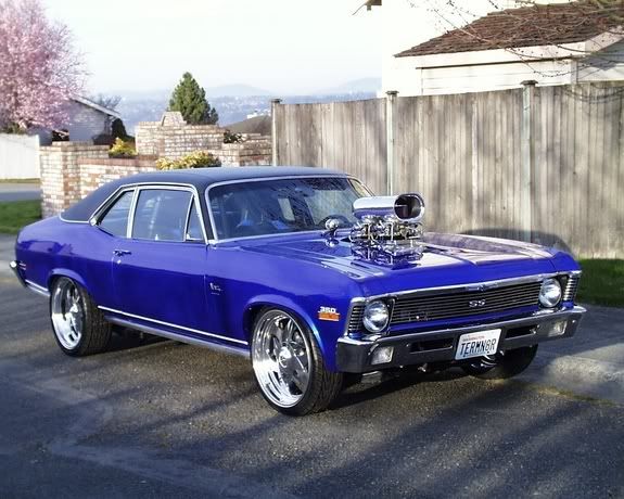 Chevy Nova SS Pictures Images and Photos 