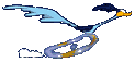 roadrunner-02.gif