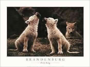 Howling Baby Wolves