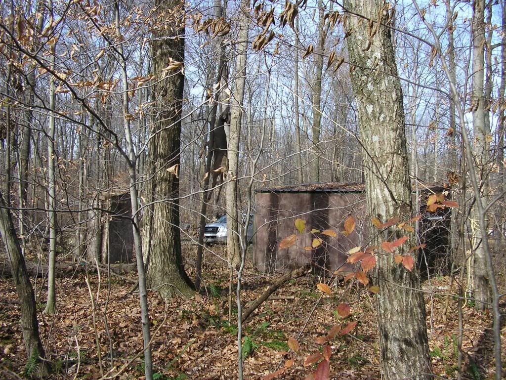 Cabin16.jpg?t=1228427170