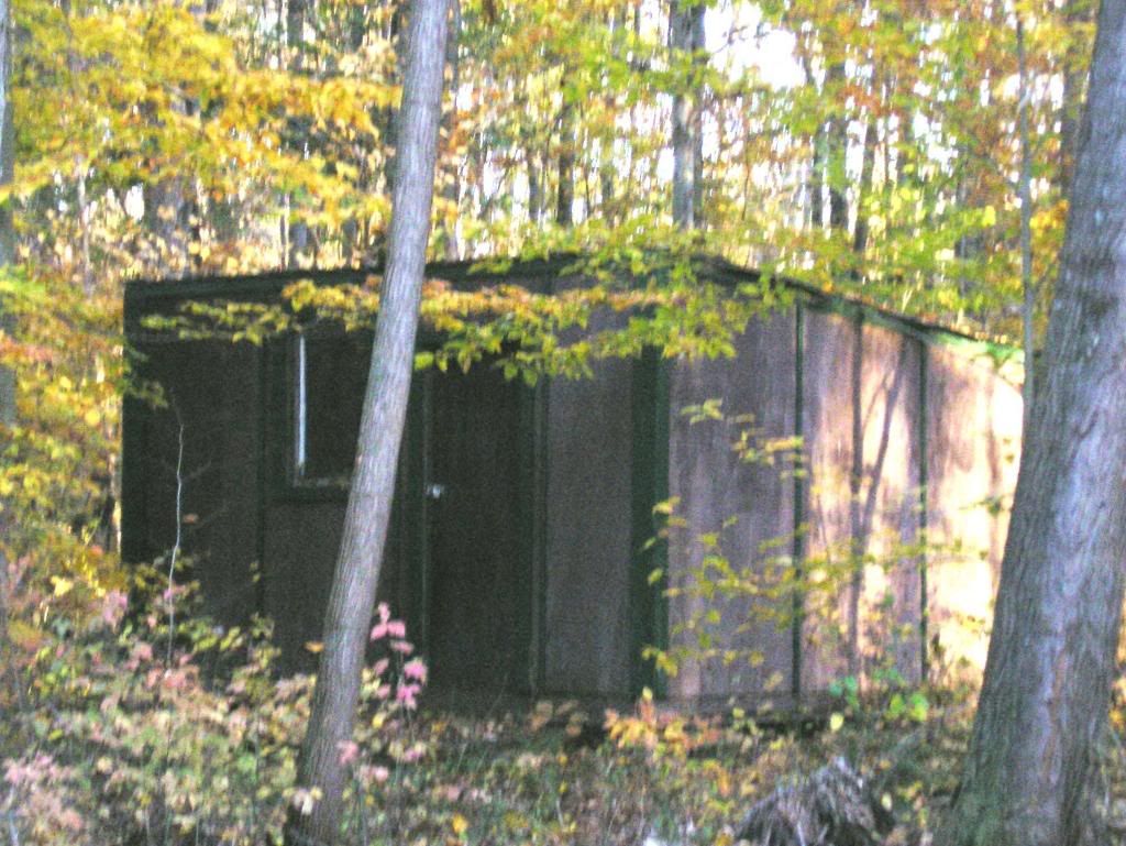 Cabin5.jpg?t=1228427145