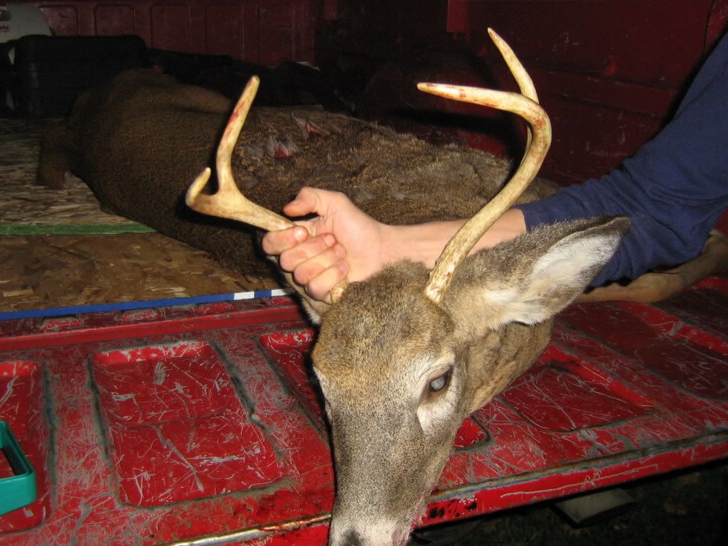 Picture096-1.jpg?t=1225642958