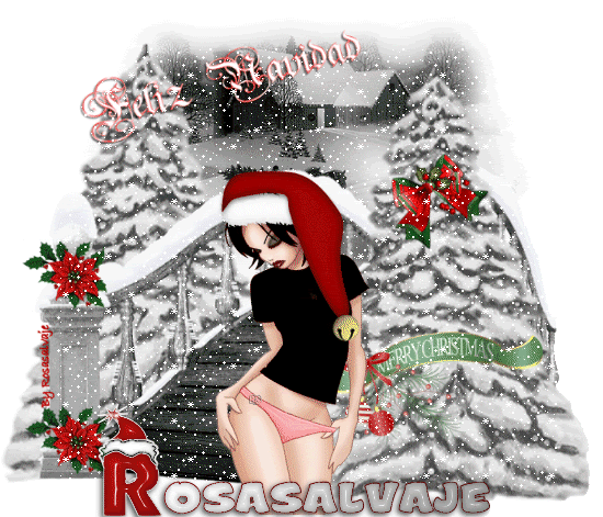 ROSASALVAJENAVIDAD6.gif picture by rosasalvaje4ever