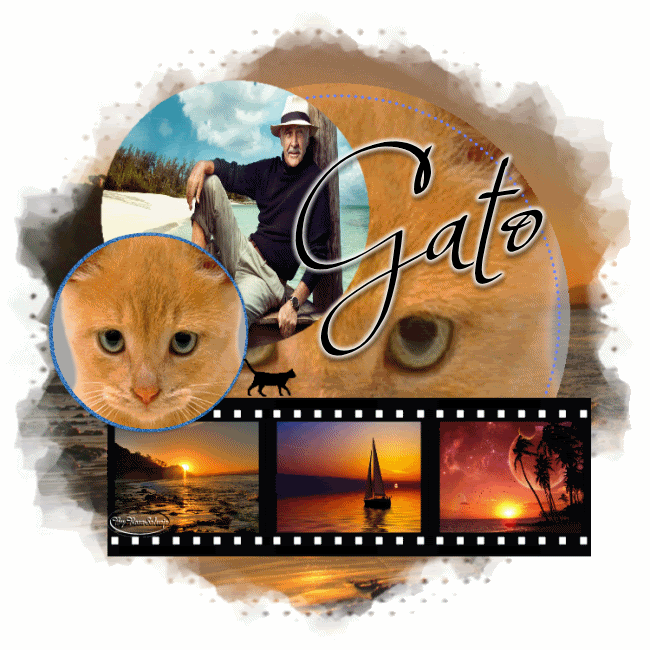 gato.gif picture by rosasalvaje4ever