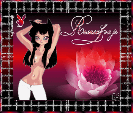 rosaGATA.gif picture by rosasalvaje4ever