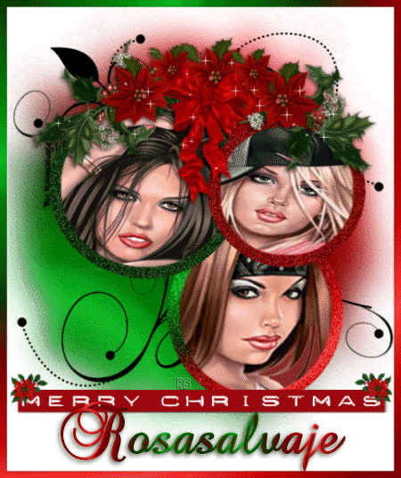 rosasalvajeNAVIDAD19.gif picture by rosasalvaje4ever