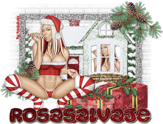 rosasalvajeNAVIDAD5.gif picture by rosasalvaje4ever