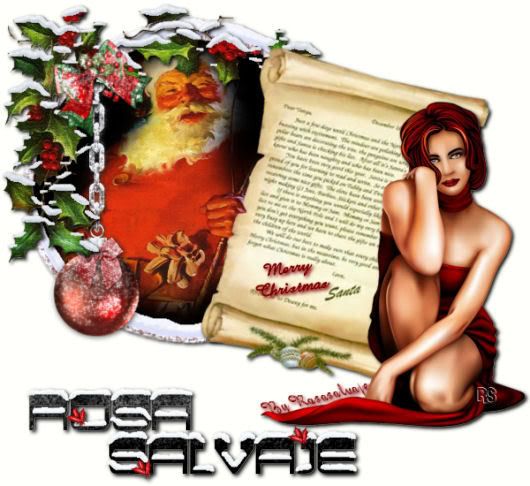 rosasalvajenavidad-1.jpg picture by rosasalvaje4ever