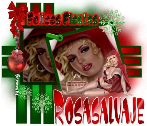 rosasalvajenavidad2-1.jpg picture by rosasalvaje4ever