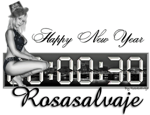 rosasalvajenewyear1.gif picture by rosasalvaje4ever
