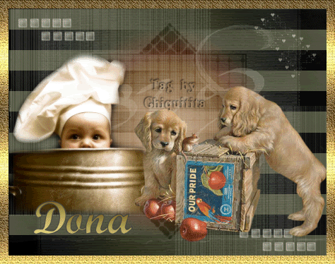 dona2Dbaby20cheff.gif picture by detallitosdelalma