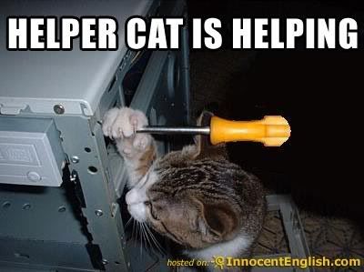  Viruscomputer on Kitty Help Fix Computer Jpg Mr Mcanhic Cat