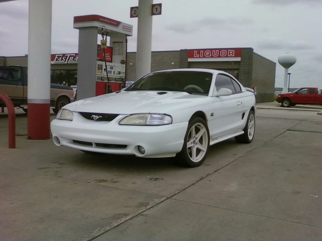 img1250394153069.jpg