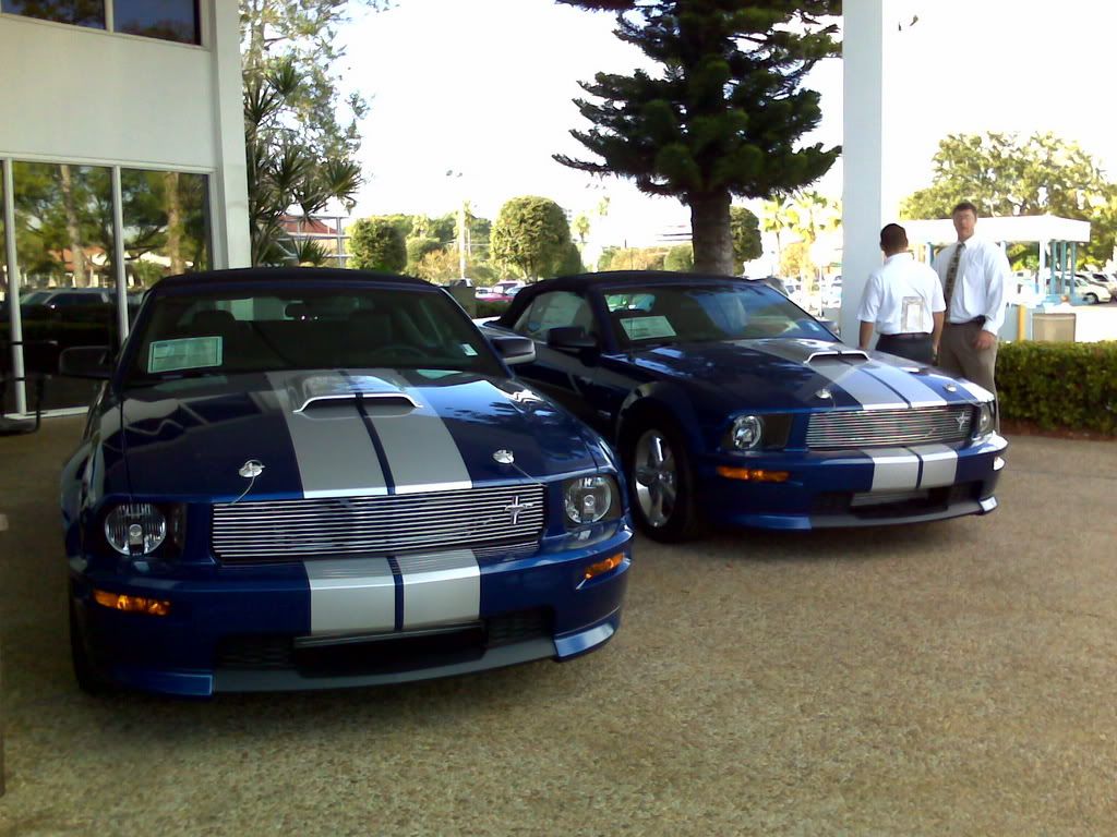 IMG000221.jpg
