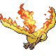 Moltres1Normal.png