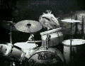 drum sets photo: Drum Roll animal.gif