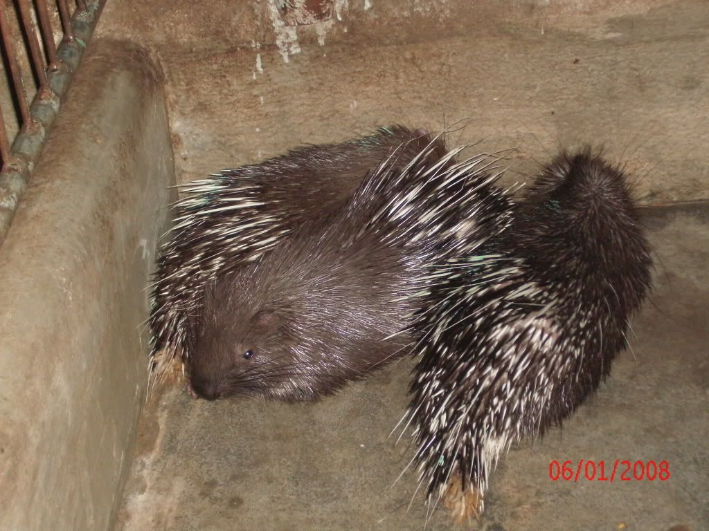 GEDC0109.jpg GEDC0109.jpg