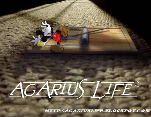 Agarius Life