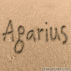 Agarius