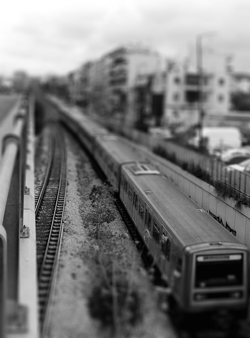 train_tauros.jpg