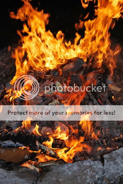 Fire Pictures, Images and Photos