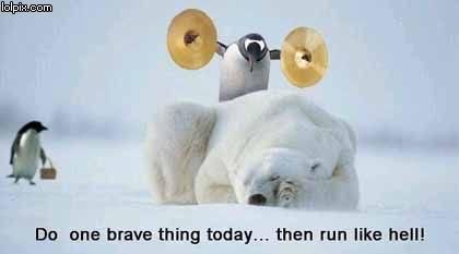 2008_02_07_bravething.jpg