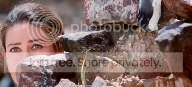 vlcsnap-3150.png
