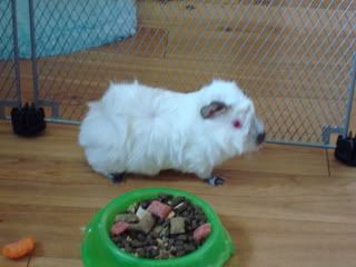 DSC00123.jpg